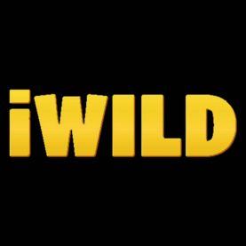 iWild kasyno internetowe Polska